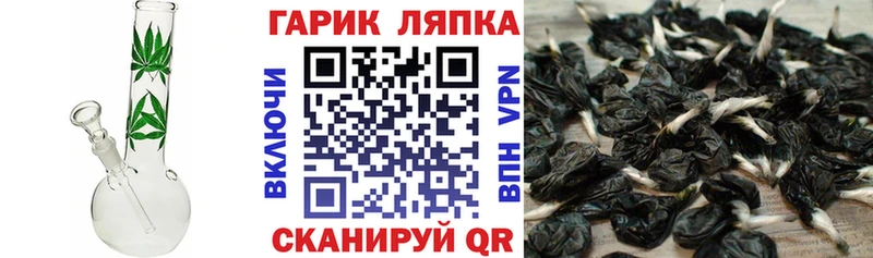 ГАШ ice o lator Назарово