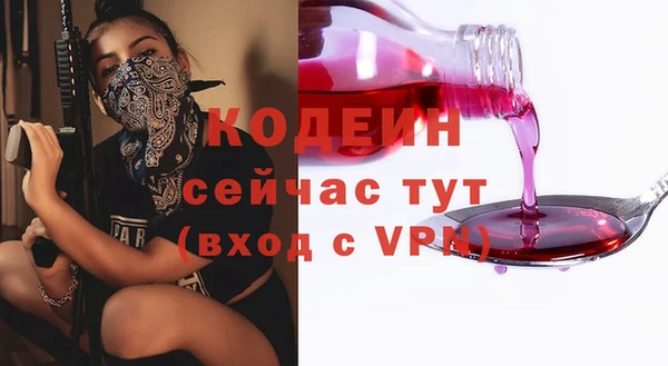 шишки Верхний Тагил