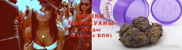 шишки Верхний Тагил