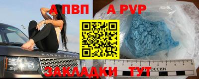 амф Гусев