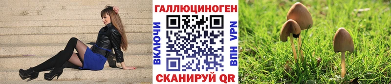 дарнет шоп Назарово hydra ТОР Псилоцибиновые грибы GOLDEN TEACHER